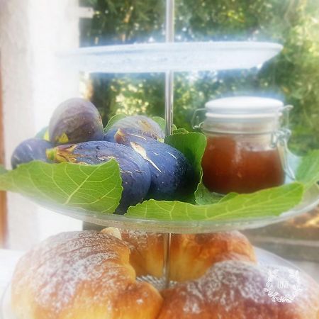 B&B Blanda Maratea Zewnętrze zdjęcie