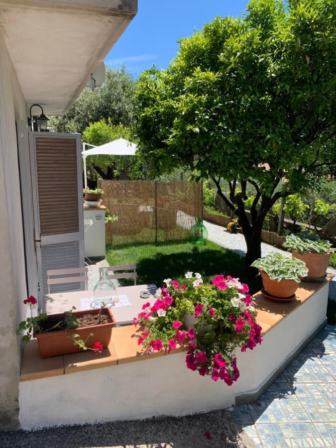 B&B Blanda Maratea Zewnętrze zdjęcie